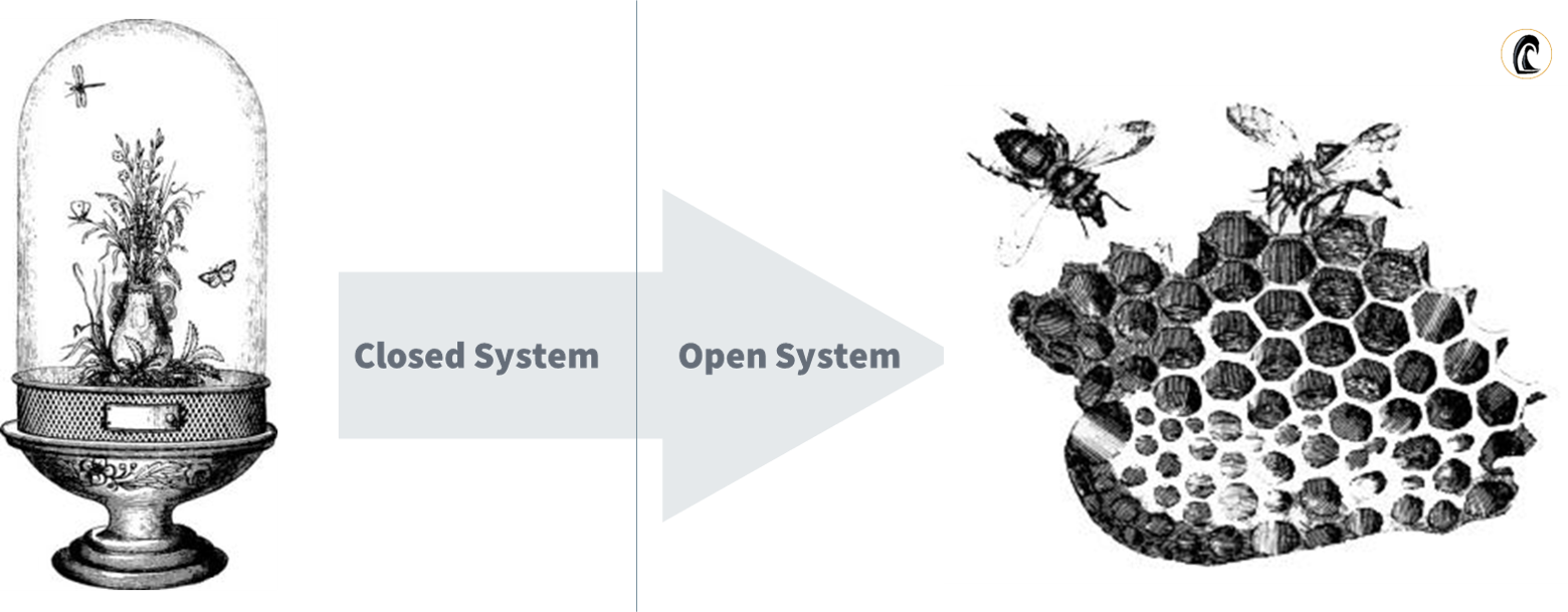 open system thinking